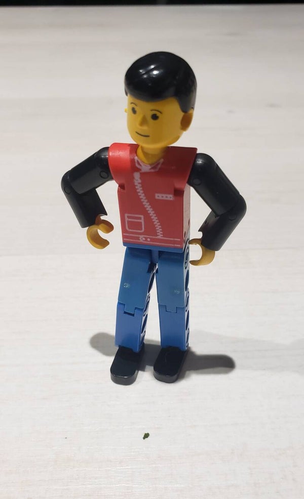 Figurine LEGO TECHNIC® tech031