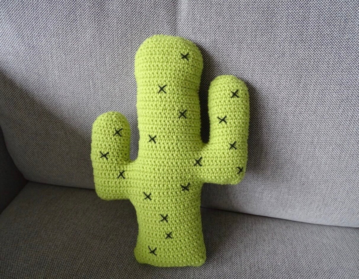 Haakpatroon cactus kussen