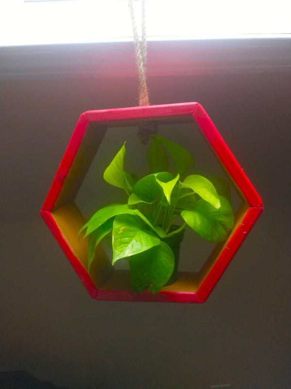 PLANTEFRAME