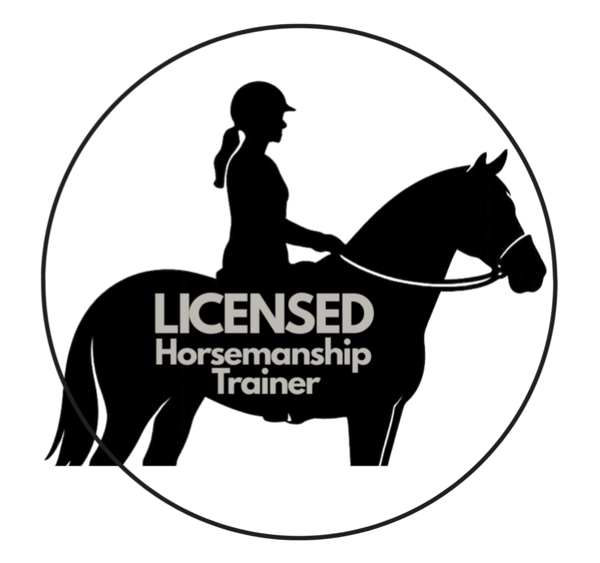 Licensed Horsemanshiptraining Texel 