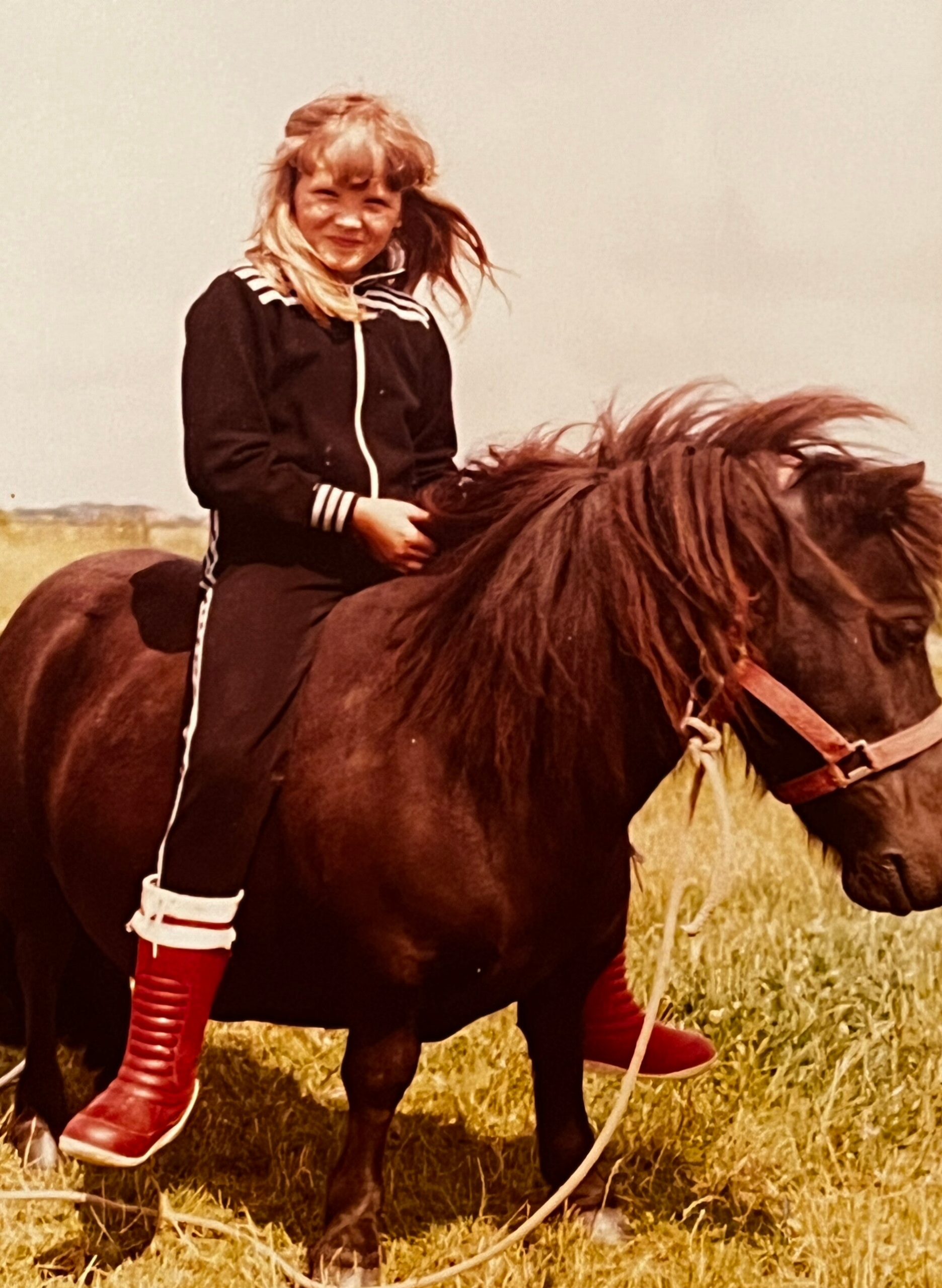 Gedrag en Spanning | Horsemanship training Texel