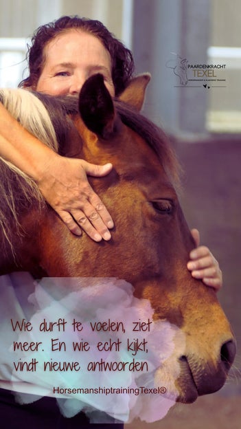 Horsemanship training texel