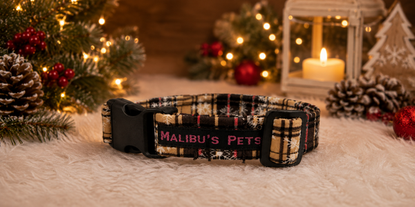 Halsband Brown Ribbon