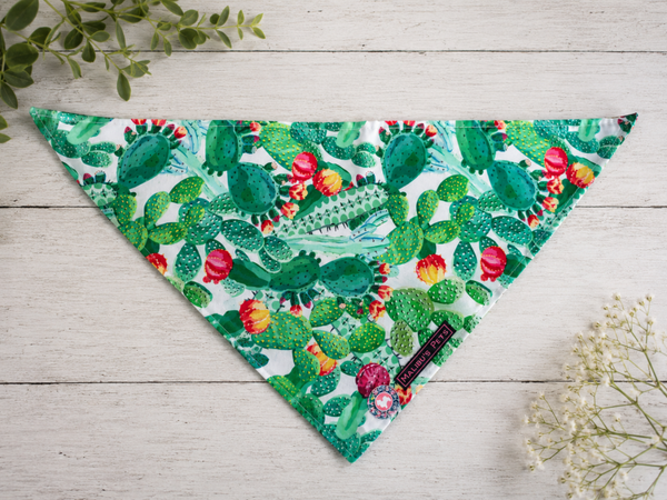 Bandana Cactus Crush