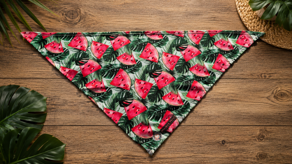 Bandana Watermelon Splash