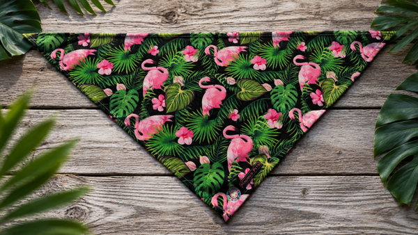 Bandana Flamingo Fever