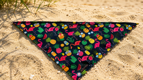 Bandana Pineapple Punch