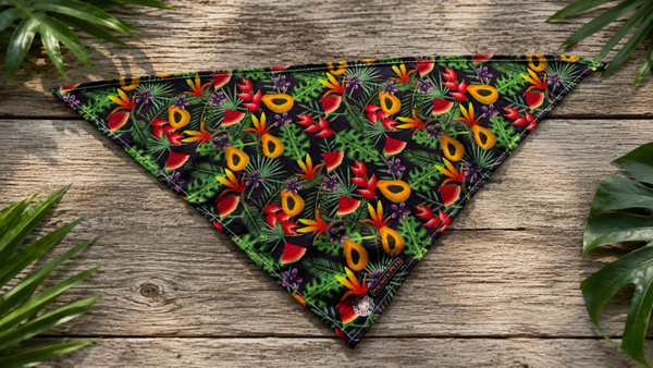 Bandana Tropical Tango