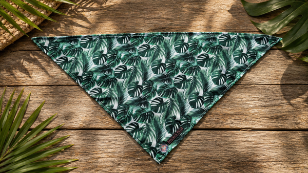 Bandana Rainforest Retreat