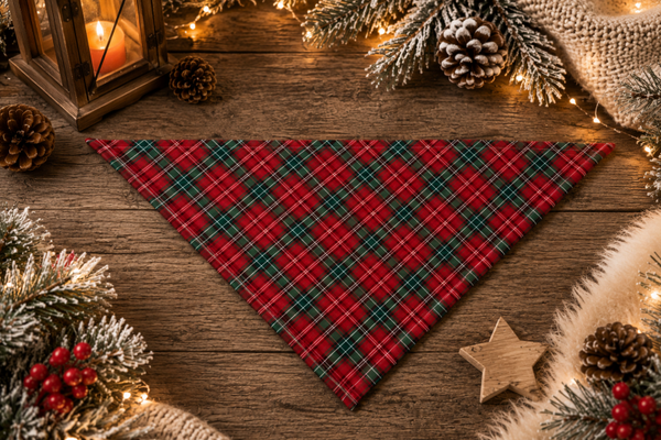 Bandana Holly Heart