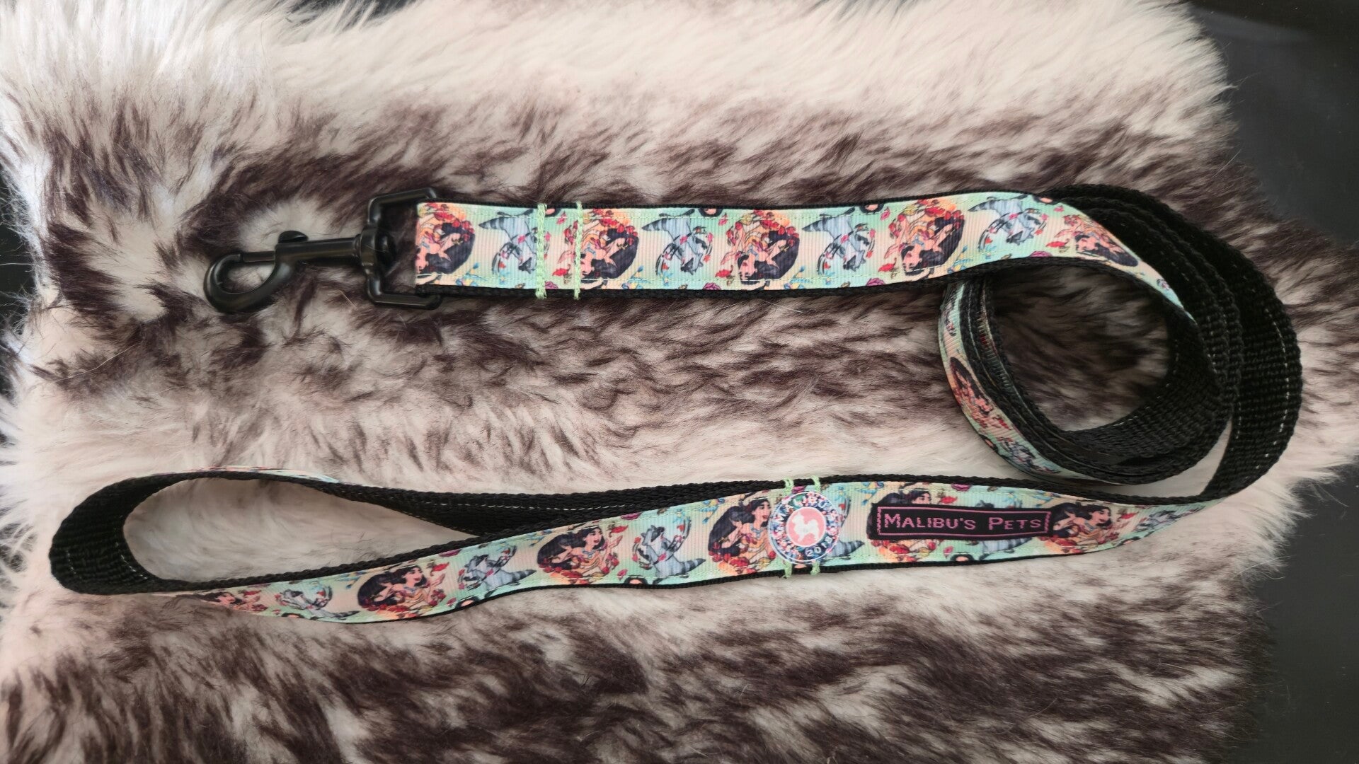 Lijn Colors Of The Wind (Pocahontas)