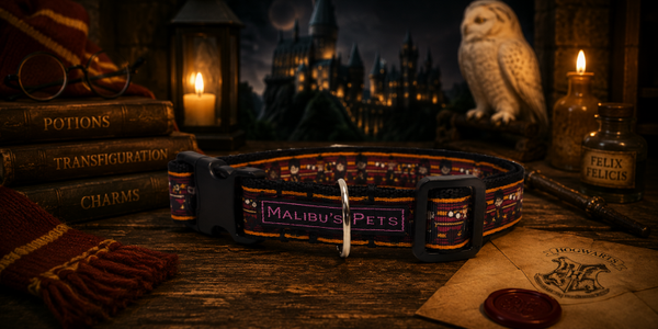 Halsband Little Wizards (Harry Potter)