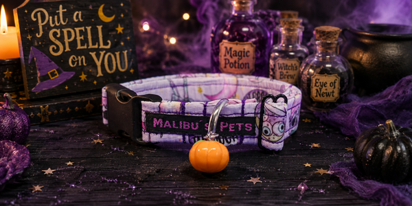 Halsband Put A Spell On You