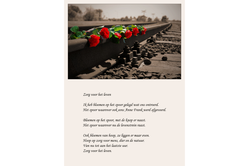 zorg voor het leven, foto, prijs, roos, spoor