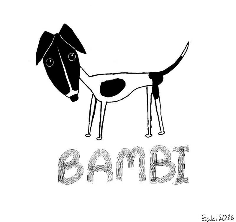 Bambi the Rat Terrier