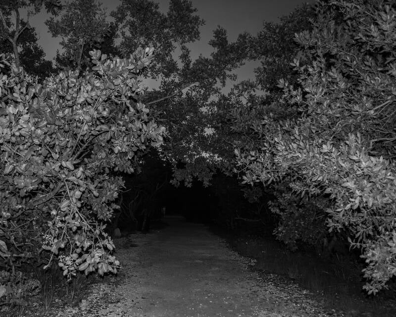 Biscayne National Park (3)
