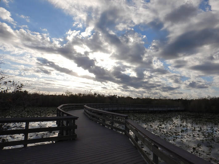 Anhinga Trail, ENP, Florida (1)