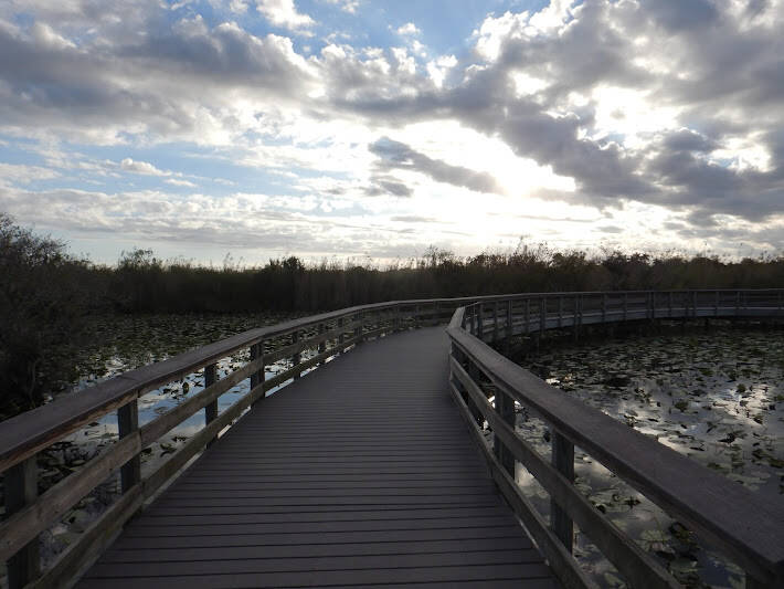 Anhinga Trail, ENP, Florida (2)