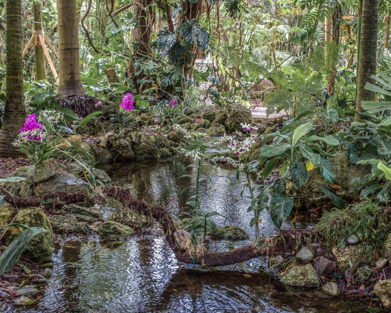 Fairchild Tropical Botanic Garden, Miami, Florida (1)