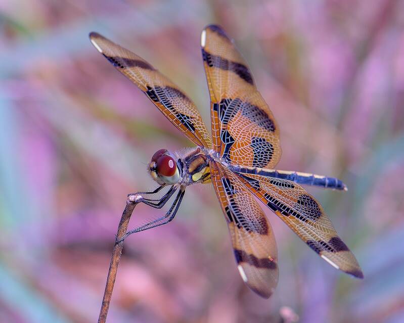 Halloween Pennant (2)