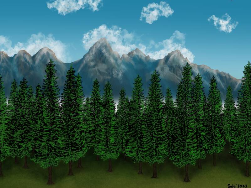 Forrest