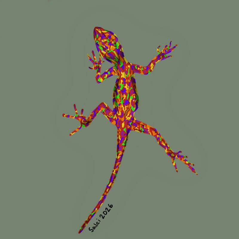 Funky Bark Anole