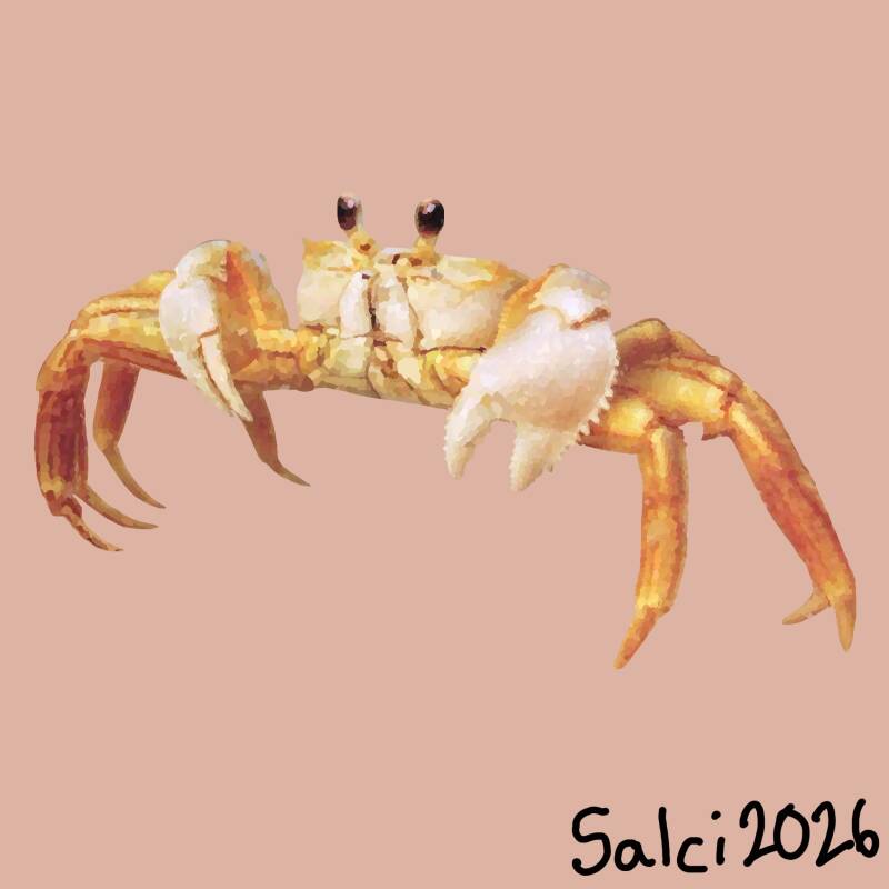 Ghost Crab