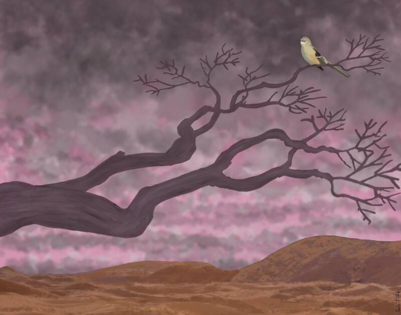 'The Last Bird'