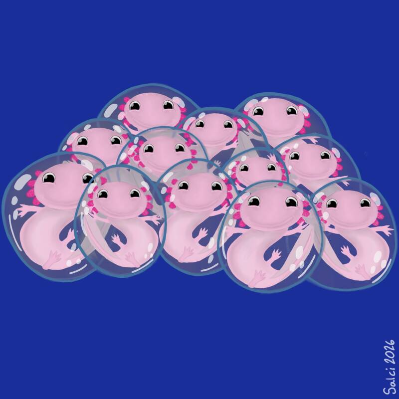 Axolotls