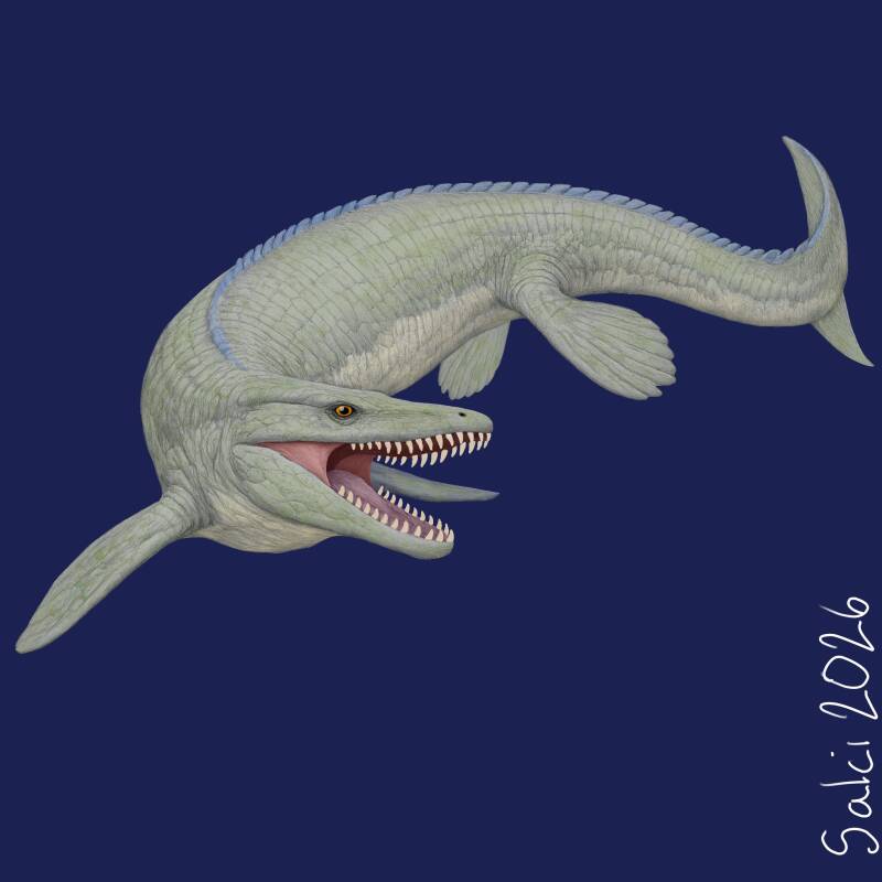 Mosasaur