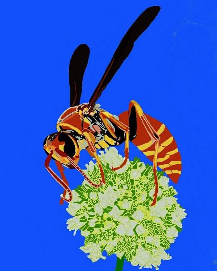 Paper Wasp