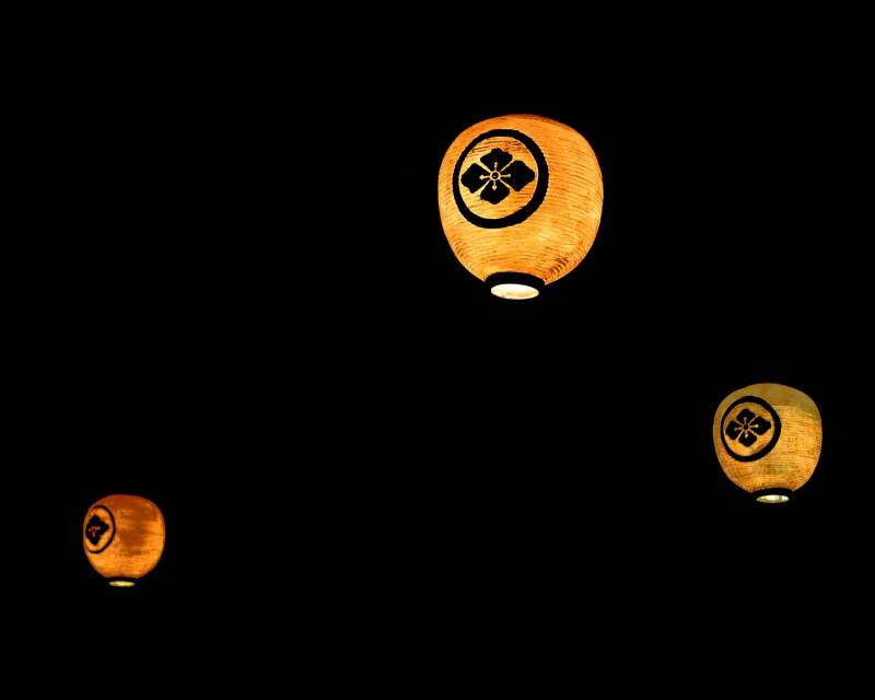 Japanese Lanterns (1)