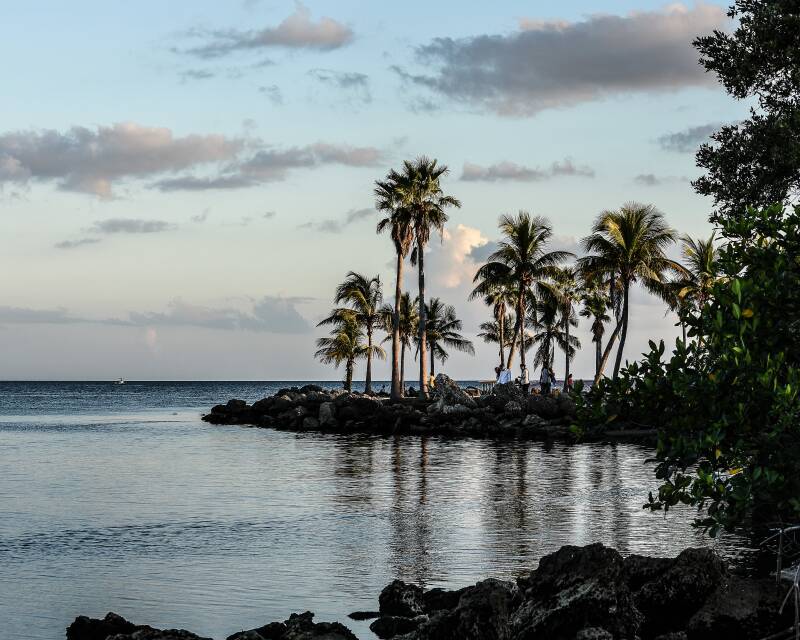 Matheson Hammock, Miami, Florida (1)