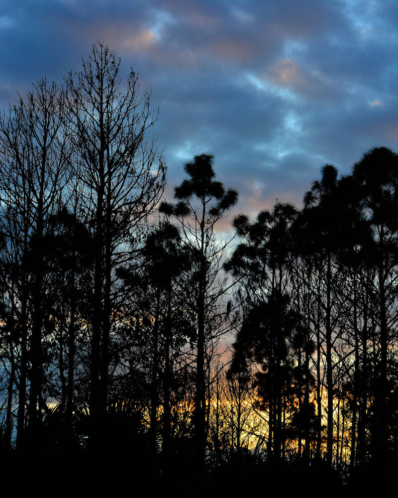 Sunset at Larry and Penny Thompson Park, Miami (1)