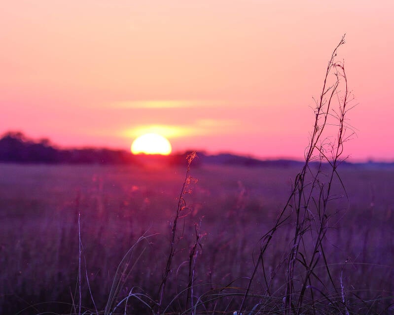 Sunset at ENP (1)