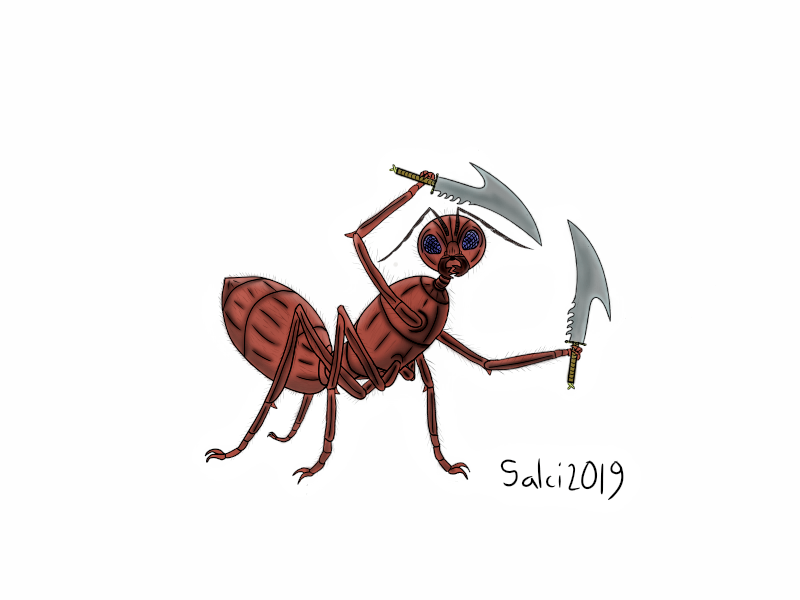 Warrior Ant