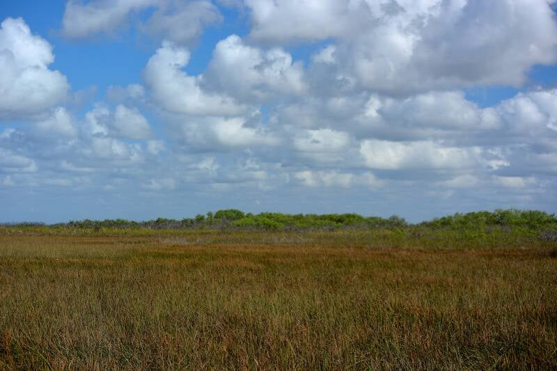 Wet Prairie (1)