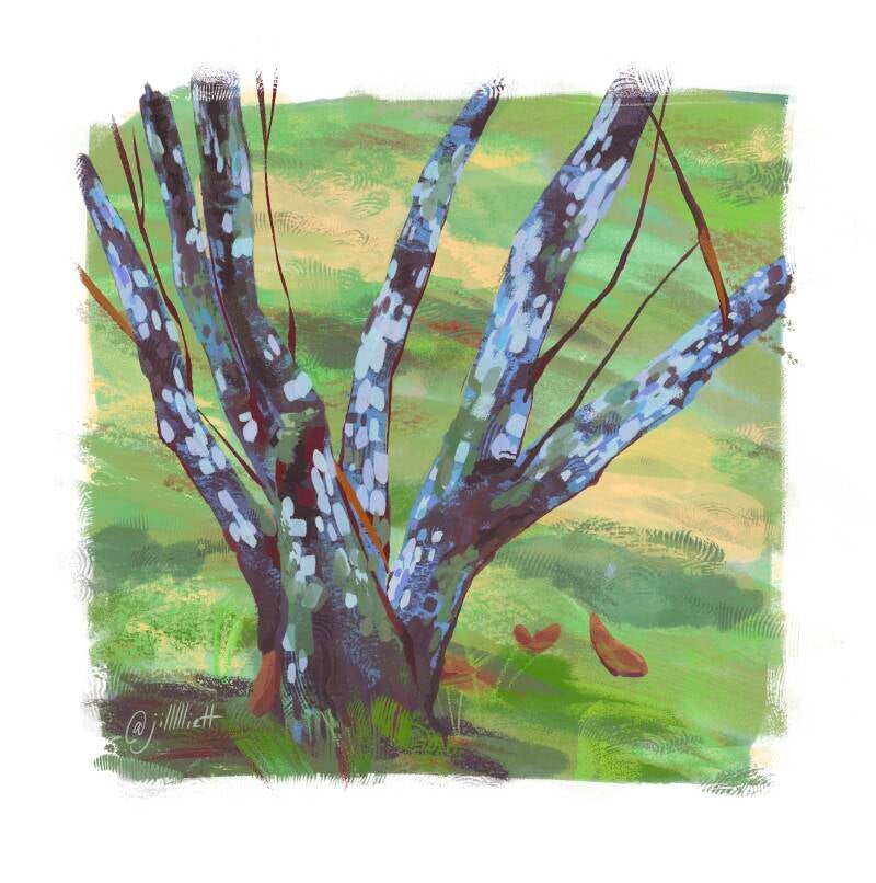 untitled_artwork-1-standard-3qk1n4.jpg