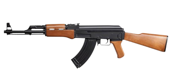 Fusil d'assaut Airsoft | ASG Arsenal SLR105 DLV