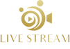 Wedding Live Stream Services