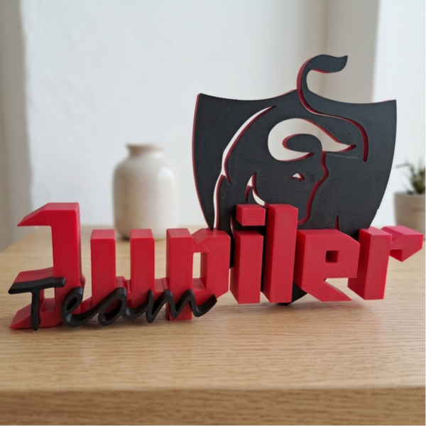 Standpunt Team Jupiler (2 versies)