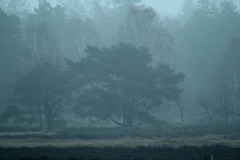Op de Ginkelse Heide  in Ede
