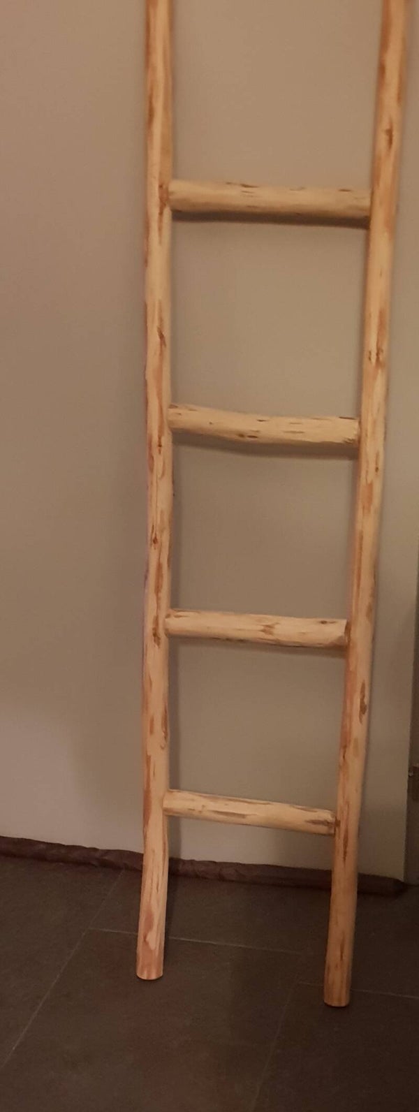 ladder 