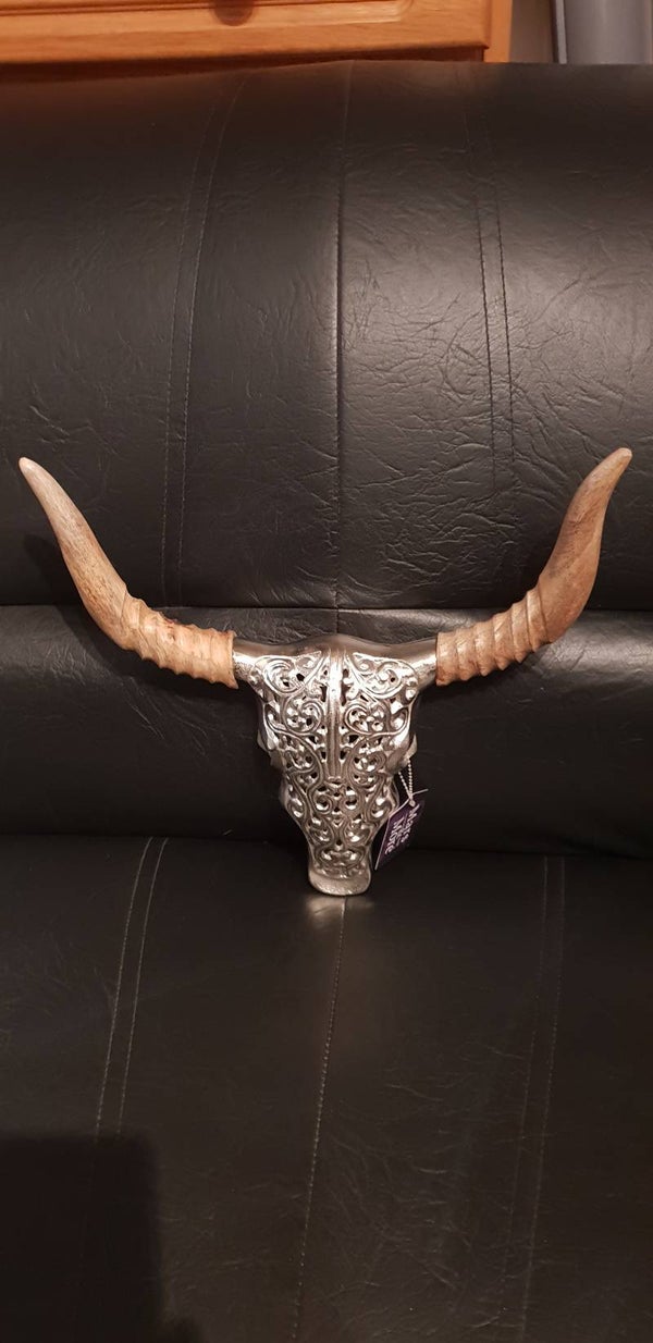 schedel stier gegraveerd hout 27cm