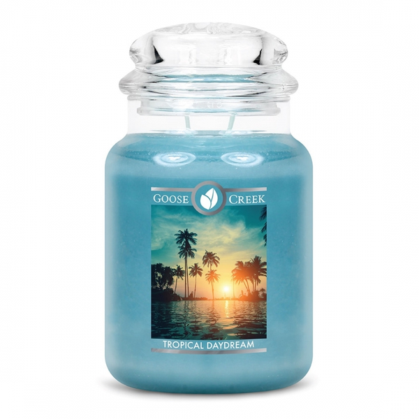 Tropical Daydream Goose Creek  Candle
