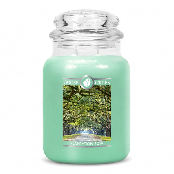 Plantation Row Goose Creek  Candle
