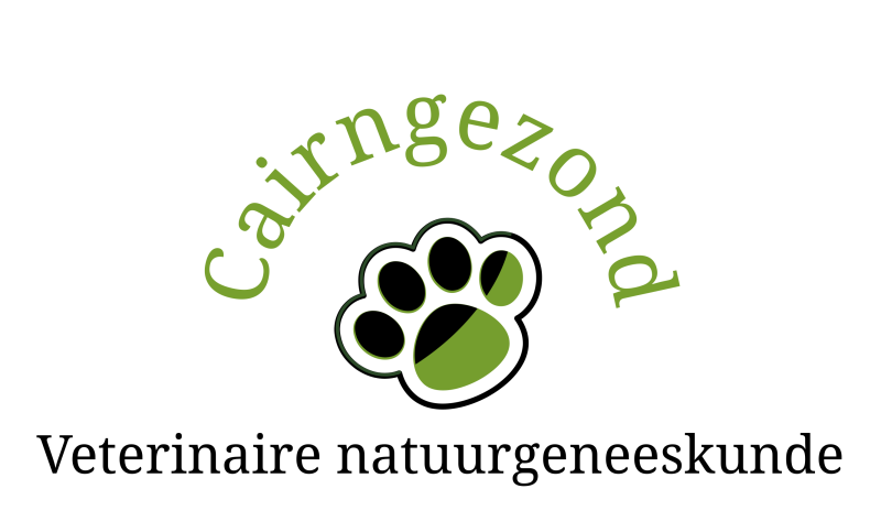 Logo cairngezond 