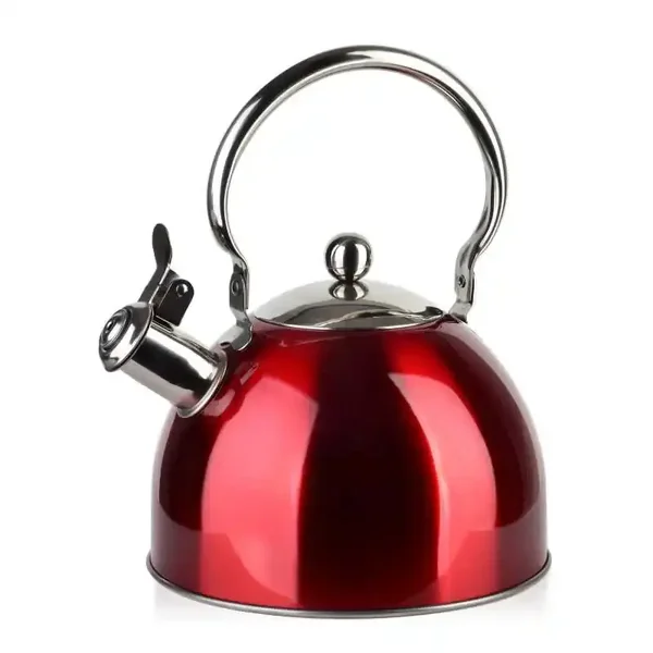Mondex - ALLESKEN - LIAM RODE fluitketel 2.5L - RVS