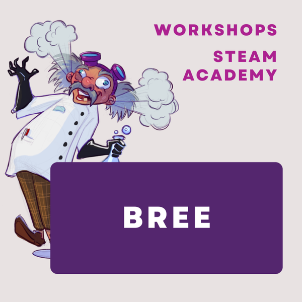 Workshopsreeks - Bree