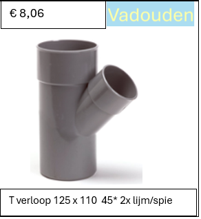 T verloop 125 x 110  45* 2x lijm/spie